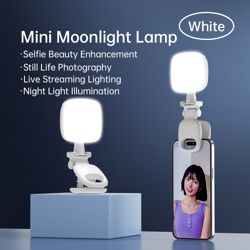 Photography Lighting Patterns - 携帯用クリップ式ミニLEDセルフィーフィルライト調光可能ビューティーランプ、スマホ撮影、夜間撮影、ポケットムーンライトライト