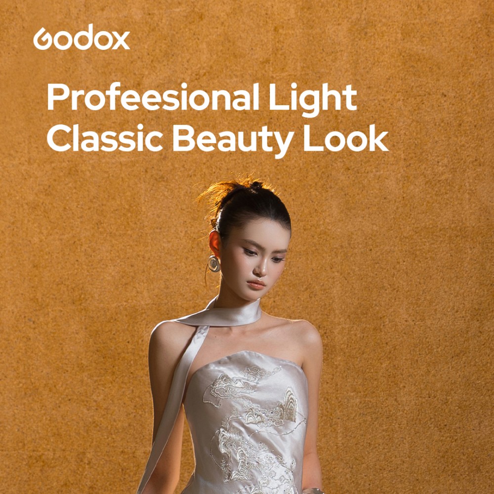 Godox EazyFlow Bty 65S/85S 折りた - Photography Lighting Beauty Dish のレビューと価格
