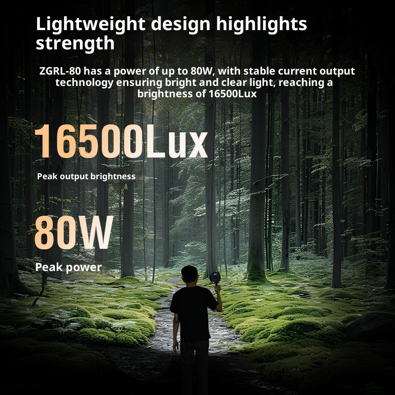 ZGRL80 80W COB LEDビデオライト ハンドヘル - Photography Lighting Outdoor のレビューと価格
